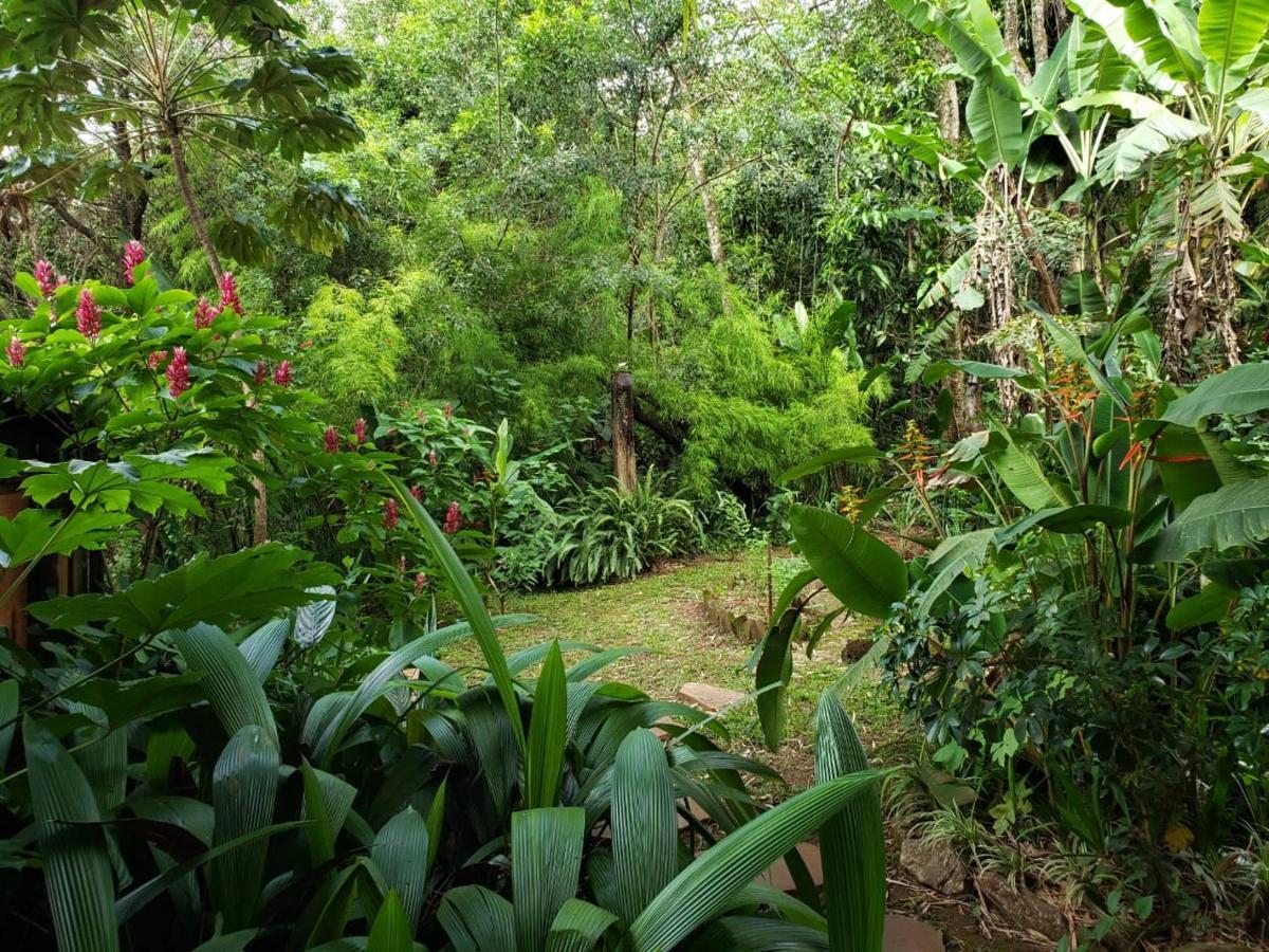 A Arte de Bem Viver Tiradentes Exterior foto